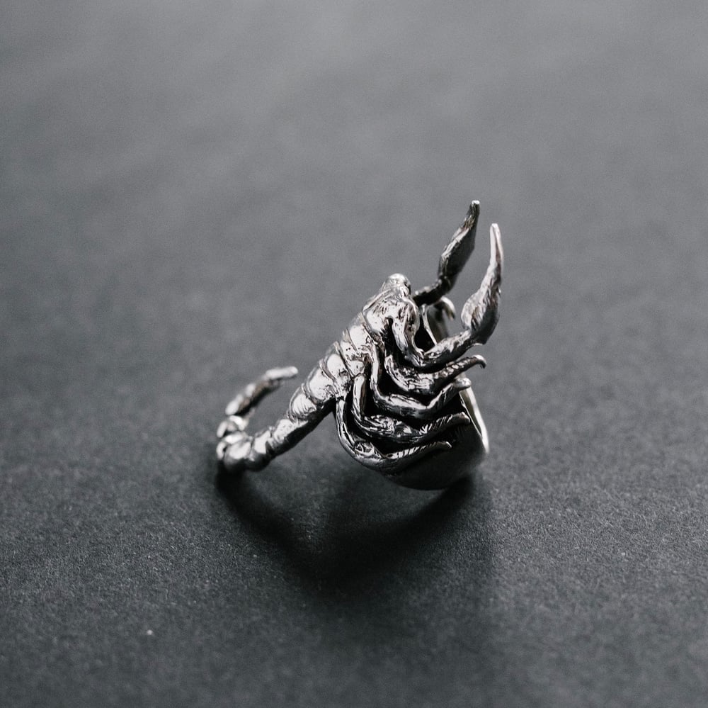 Image of Scorpion Ring