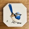 Superb Fairywren Coaster