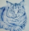 Cobalt Fat Cat  Handpainted/Scrafitto Porcelain Tile