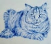 Cobalt Fat Cat  Handpainted/Scrafitto Porcelain Tile