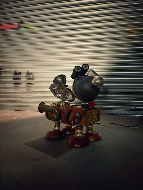 Image of Curly Bumtrumpet