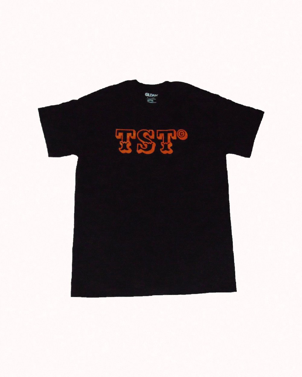 Image of TSTlogo t-shirt