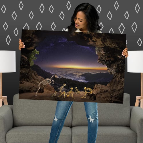 Image of Muybridge Horse