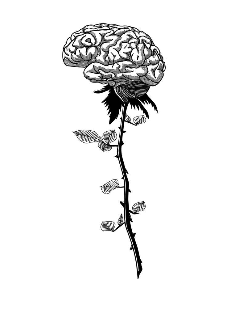 Image of A beautiful mind