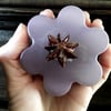 Shampoo Bar