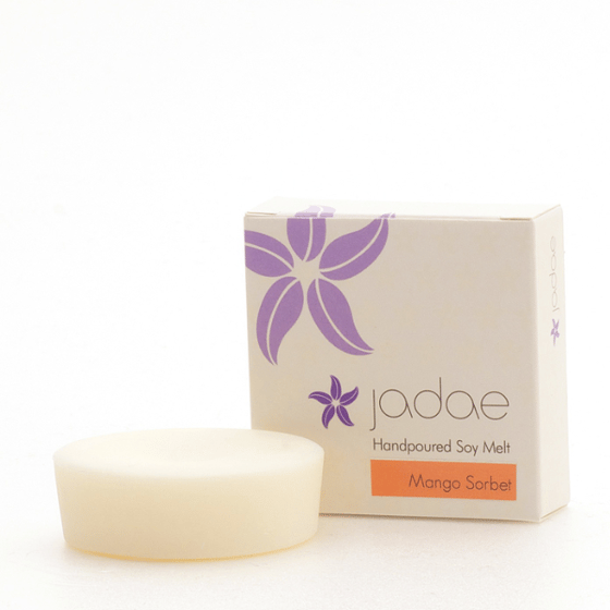 Image of Single Large Soy Melts