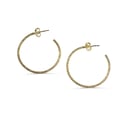 Grande Créole Brillante // Shiny Hoop