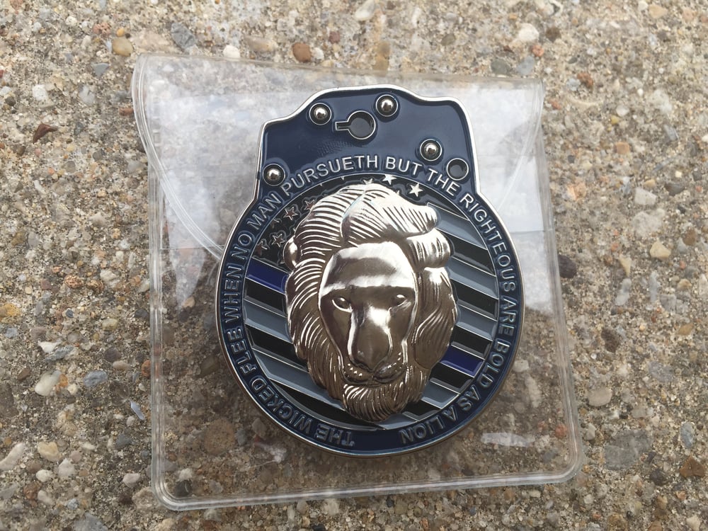 Image of The Special Edition Brave Coin