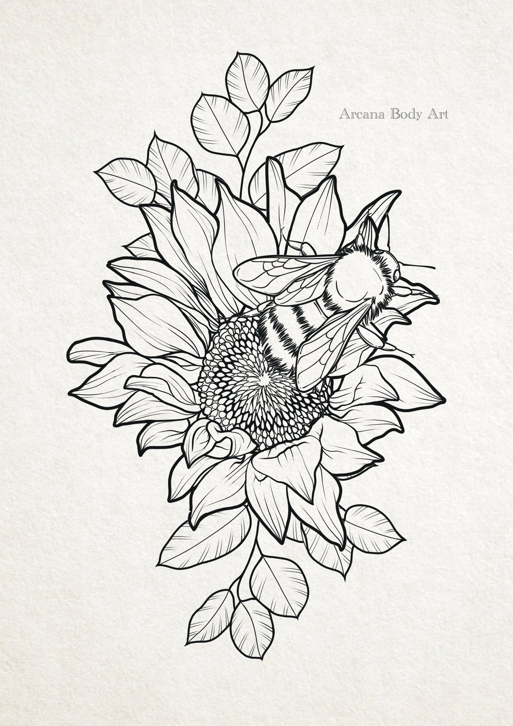 Image of Tournesol Bourdon