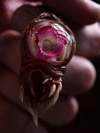 Image 15 of Little Magenta Monster Toothy pendant, OOAK,