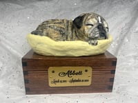 Image 12 of Custom Engraved Pug Pet Urn To Your Dog's Photo