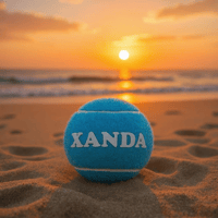 Image 2 of Personalized Tennis Ball Toy - Blue