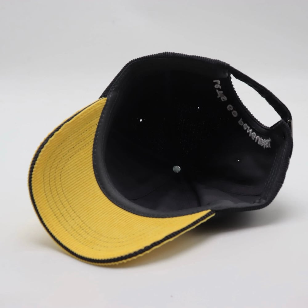 Pittsburgh Penguins Hat