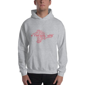 Image of Худі Я стрілять хочу Unisex Hoodie