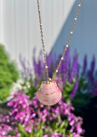 Image 1 of Scallop Shell Necklace N181