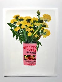 Image 1 of Dandelions