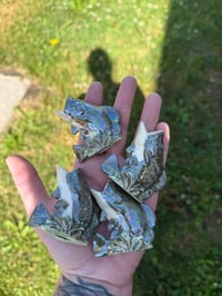 Image 2 of Bass J Holders 