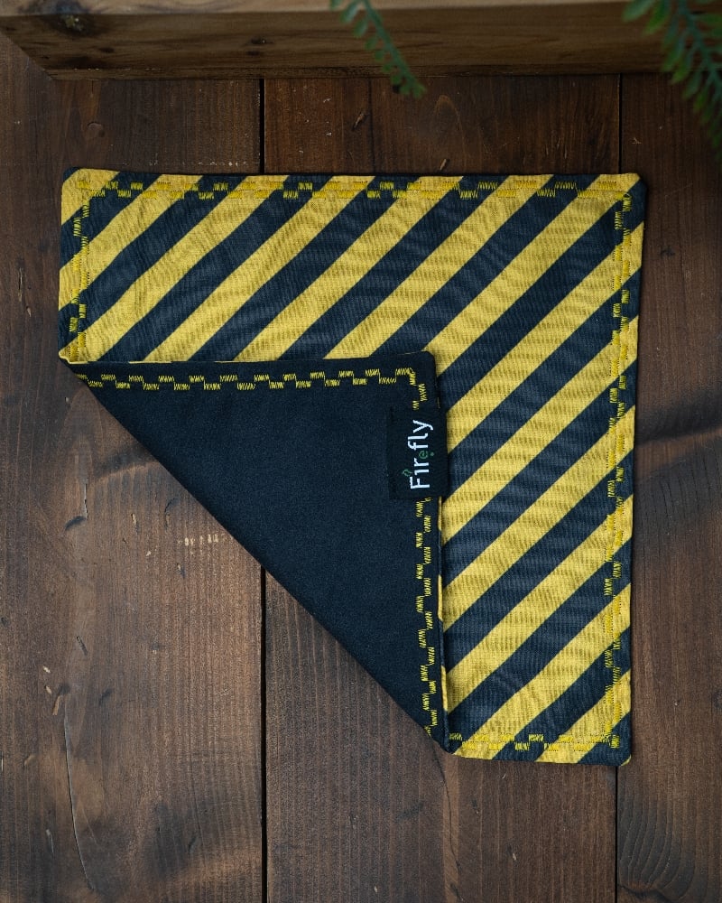 Image of Hazard 