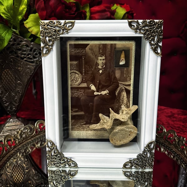 Image of Victorian Gentleman Tooth & Vertebrae 