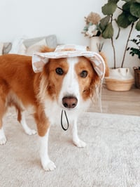 Image 1 of Checker Bucket Hat suited for all breeds