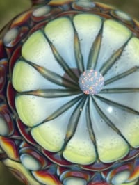 Image 4 of spring glow