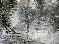 Image 4 of BORED RIVER TEE