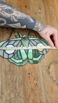 Image 5 of Moth green