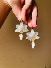 Image 2 of 🐚Conch Shell Mini Orchids🐚
