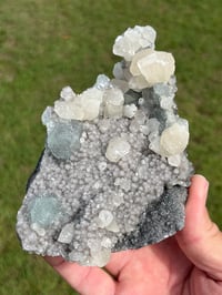 Image 6 of Green Fluorite On Druzy Quartz With UV Dog Tooth Calcite #2225