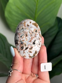 Image 9 of CHOOSE YOUR OWN ORBICULAR VEINLESS OCEAN JASPER PALM STONES -MADAGASCAR- 