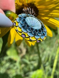 Image 4 of stardust sunflower
