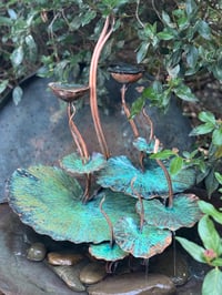 Image 2 of ⛲️🏡Winter Garden 