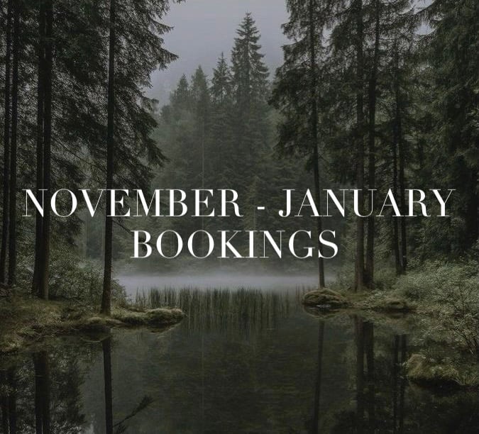 Image of November-January bookings