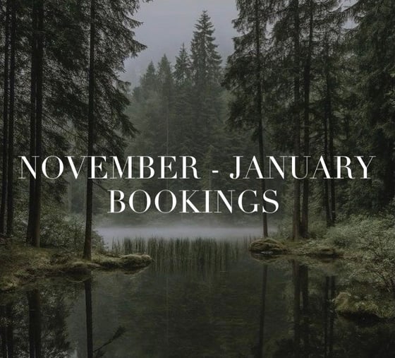 Image of November-January bookings