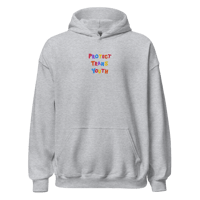 Image 2 of PROTECT TRANS YOUTH  - Embroidered Hoodie (multi coloured)