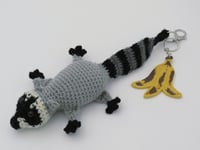 Image 11 of Raccoon Charms