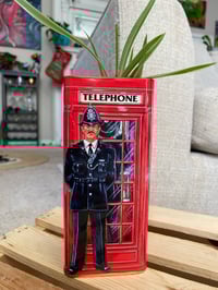 Image 1 of Variegated Spider Plant in Red Telephone Tin