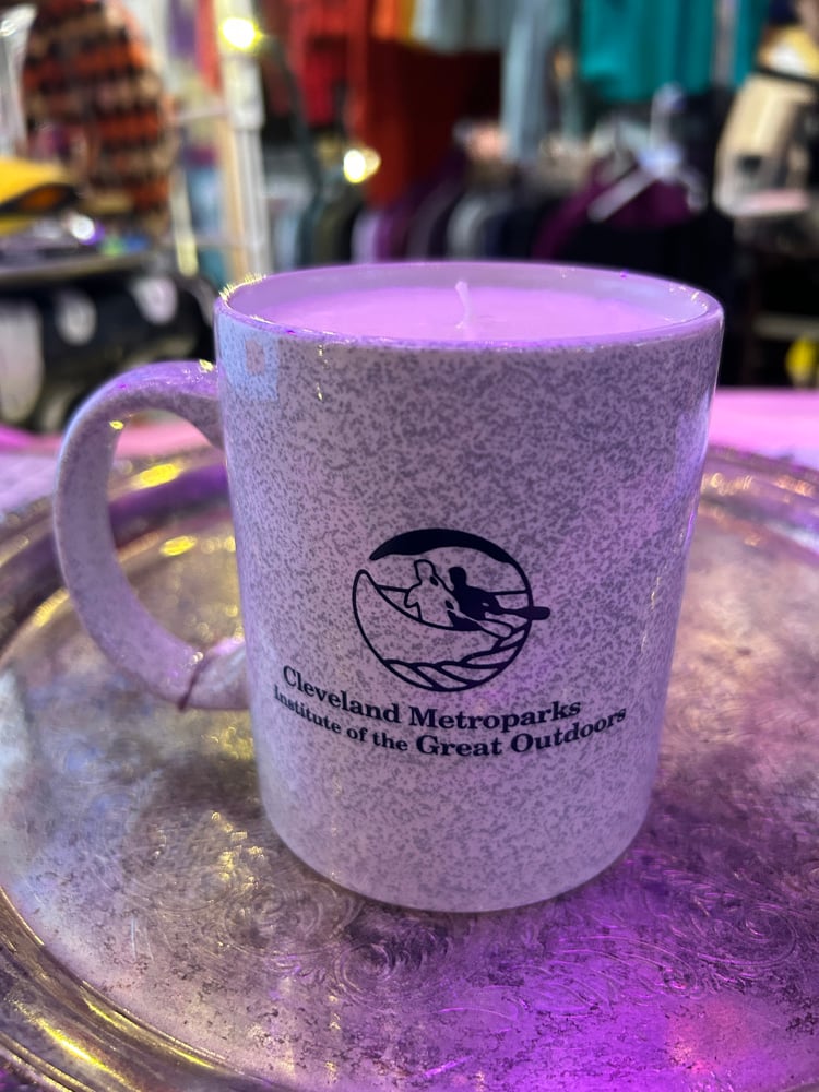 Image of // Cleveland Metroparks Mug //