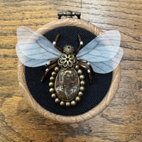 Image 4 of Cameo bee (b, 2.5 inches)