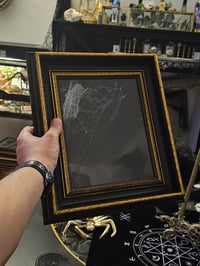 Image 2 of Large Black and Gold Framed Web 