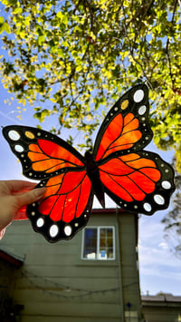 Image 1 of Spring Monarch Butterfly 