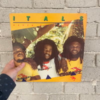 The Itals – Rasta Philosophy - US first Press LP 