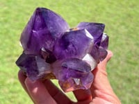 Image 6 of Amethyst Points Cluster |Congo #2910