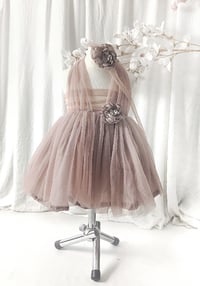 Image 1 of Betty tulle dress size 2-4 years | photo props | old rose