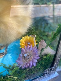 Image 3 of Duck lantern