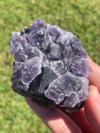 Image 8 of Purple Cubic Fluorite Specimen #1956
