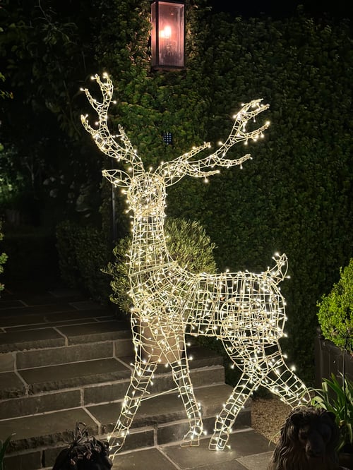 Image of Life size light up deer