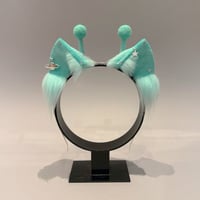 Image 1 of Mint Alien Kitten 