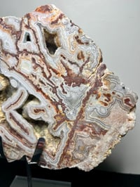 Image 2 of Mexican Lace Agate Statement Piece #2875