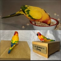 Image 3 of Custom Engraved Sunrise Conure Bird Mini Urn Pet Portrait To Your Photos